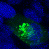Pretty BioPicture here